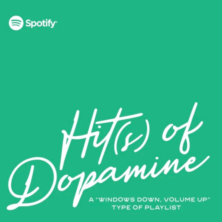 Whimsigirl Playlist Dopamine Series Dopamine Duffel 