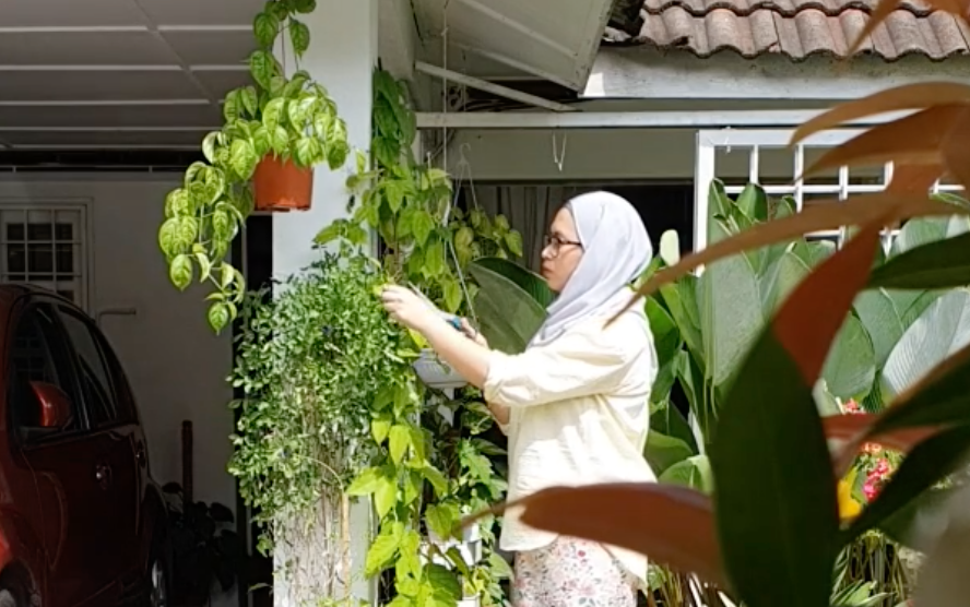Aishah shows us how to pick the right plants